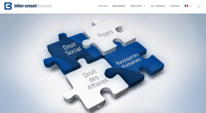 Billon Conseil Site internet